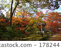 Autumn · Kyoto 178244