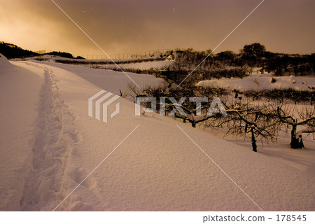 在雪和日落燃燒 178545