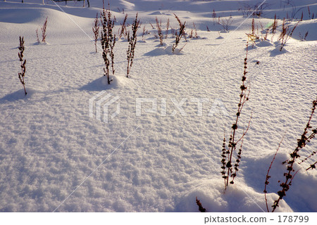 雪世界 雪世界 178799