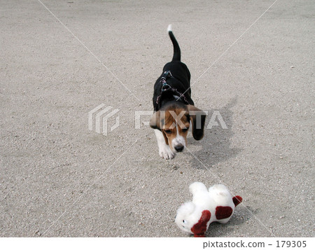 Tonky Go Go Tonky Go Go 179305