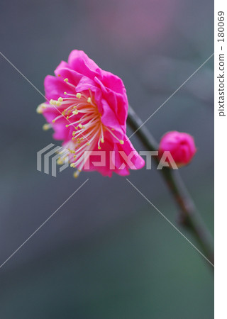 天氣寒冷 天氣寒冷 180069