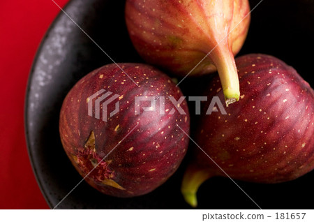 無花果 無花果 181657