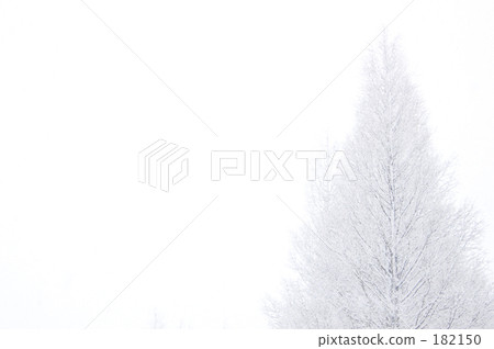 銀色世界 銀色世界 182150