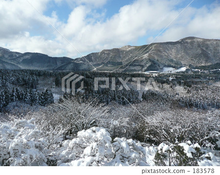 Snow Hakone · Sengokuhara 183578