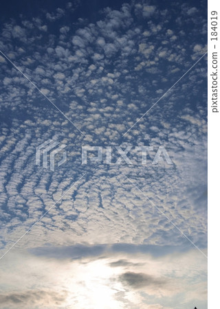 痛苦的天空 184019