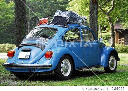 Beetle of the forest Beetle of the forest 184025