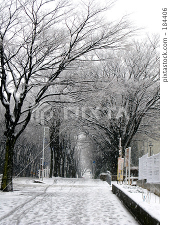 下雪天 184406