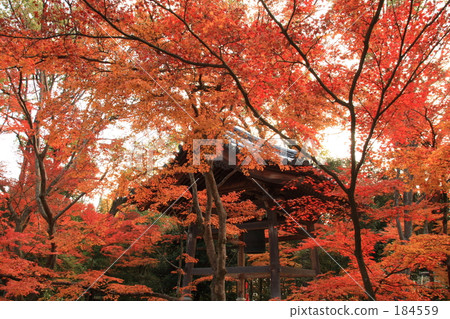 Kannonji Kinkaku Belfry Kannonji Kinkaku Belfry 184559