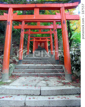 鳥居 鳥居 187557
