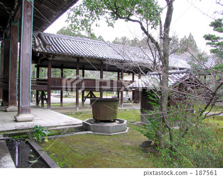 清涼寺 清涼寺 187561