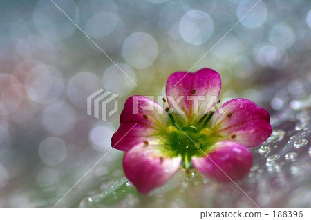 Clouds grass rain after the rain Clouds grass rain after the rain 188396