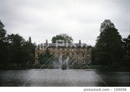 Queen Garden Queen Garden 189096