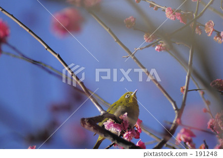 Will it arrive? 191248