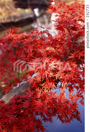 Numerum Inagawa /秋天0421 Numerum Inagawa /秋天0421 192735