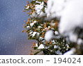 Spring storm 194024