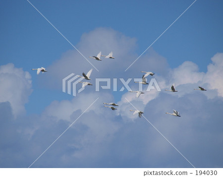 船 划船 湖泊 194030