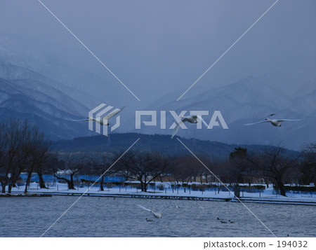 boat, lake, orange 194032