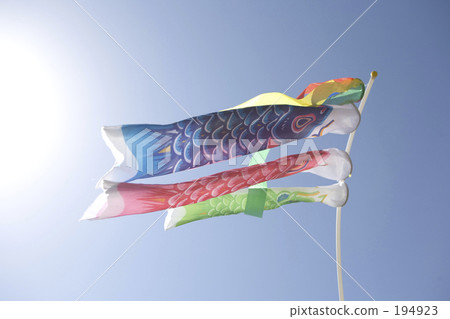    Carp streamer 194923