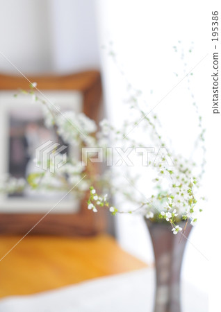 結婚紀念日 溫暖 溫暖的 195386