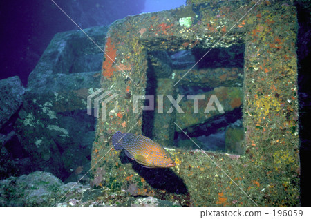 Yutaka Hata Yutaka Hata 196059