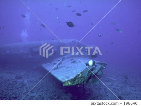 飛機和魚 196640