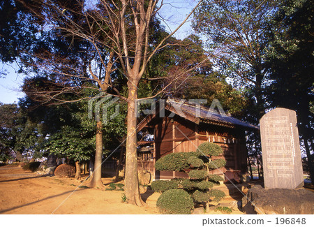 Mine Numbers Rice · Winter 0458 196848