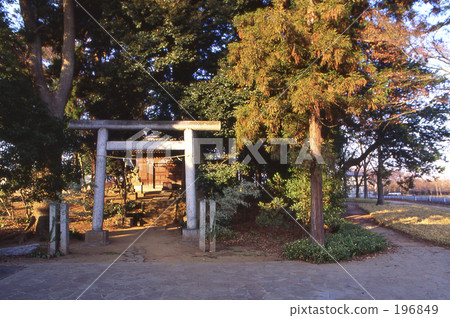 Mine Numbers Rice · Winter 0459 196849