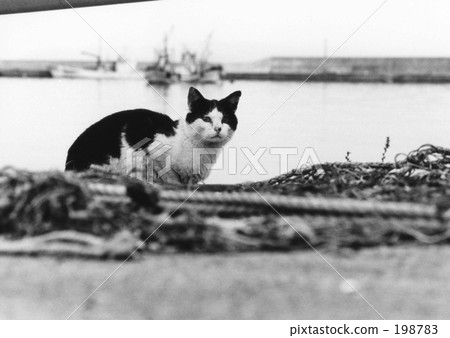 back street, landscapes of japan, port town 198783