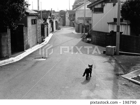 back street, landscapes of japan, port town 198790