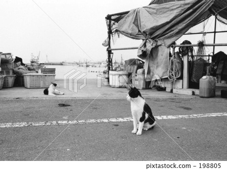 back street, landscapes of japan, port town 198805