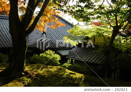 京都 日本風格 日式風格 202821