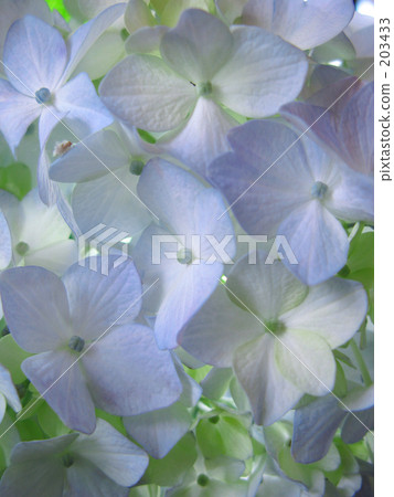 Be transparent to light 203433