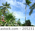 kuta beach, indonesia, bali 205231