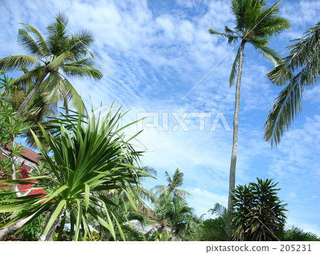 kuta beach, indonesia, bali 205231
