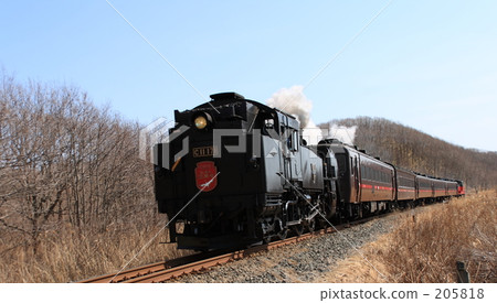 蒸汽機車 205818