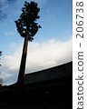 expensive, high, sacred tree 206738