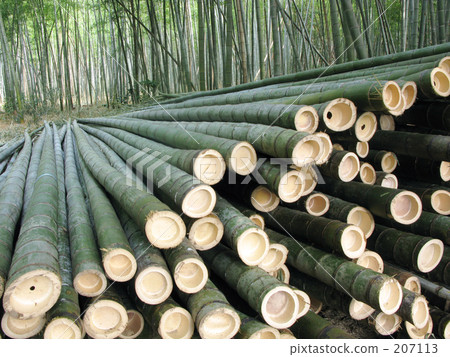 Bamboo shipment 207113