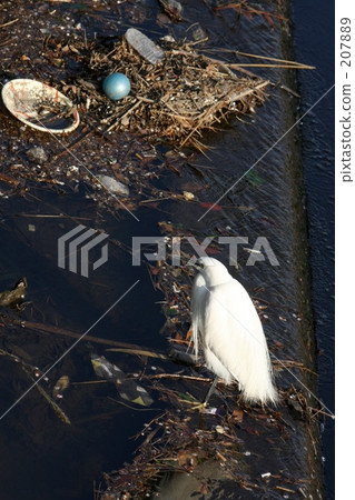 I threw the garbage away 207889