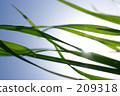refreshing, percolation, ecology 209318