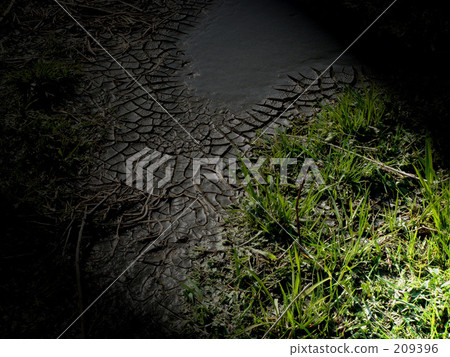 fissure, cracking, crazing 209396
