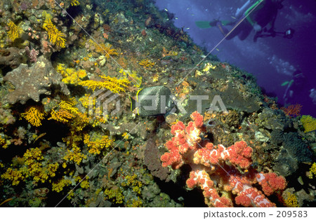 平心靜氣 平心靜氣 209583