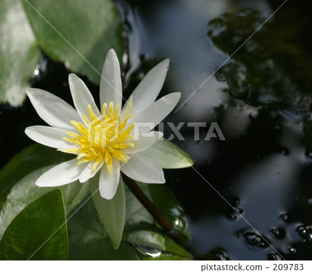 服從者 思考事情 美麗的風景 209783