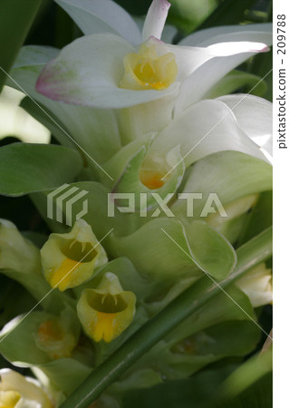 服從者 思考事情 面向未來 209788