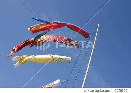    Carp streamer 215995