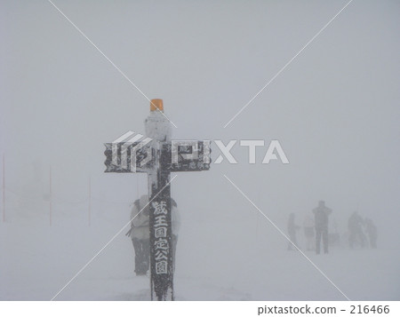暴風雪 216466