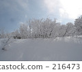 雪山樹 216473