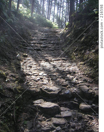 shinto, japanese cruiser nachi, genie 216598