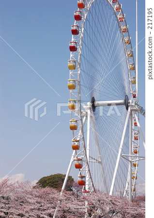 摩天輪 217195
