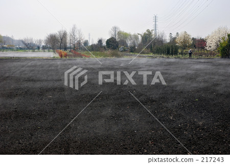 在Numazuma Rice·Spring Minami Tsuji 在Numazuma Rice·Spring Minami Tsuji 217243