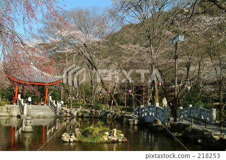 中國 瓷器 素材 218253